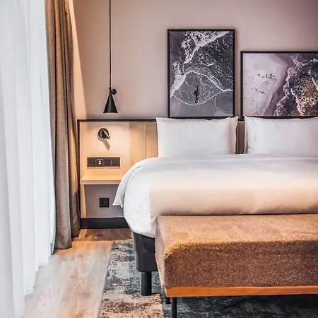 Radisson 호텔 4*